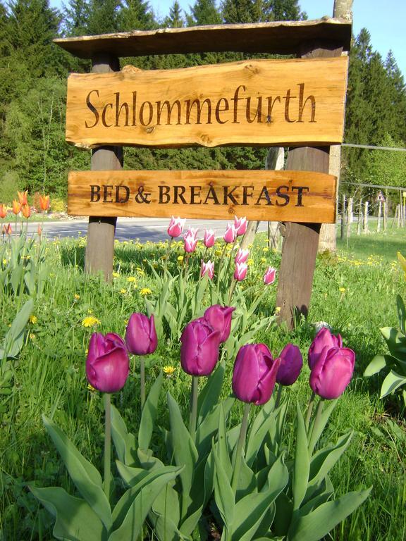Bed & Breakfast Schlommefurth Bed and Breakfast St. Vith Eksteriør billede